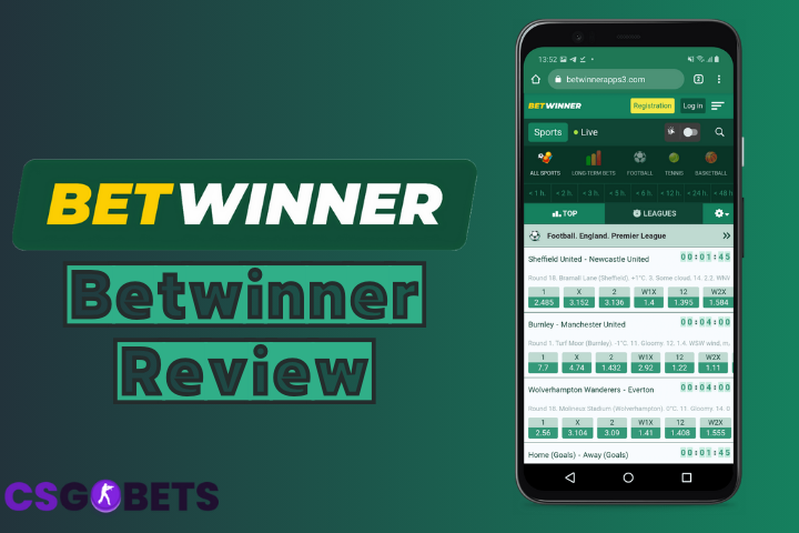 Exploring the World of Betwinner A Guide to Online Betting