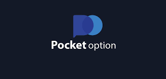 The Ultimate Guide to Pocket Option Platform 13