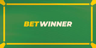 Explore the Wonders of Betwinner Casino